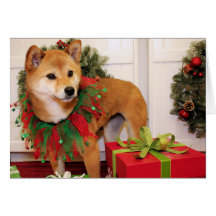 Oakley - Shiba Inu - VanBladel Greeting Card