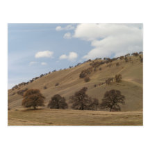 Oaks on Hillside Postcards