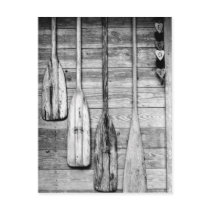 Oars are hung on wooden shed in Big Cypress, 2