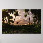 Oasis posters
