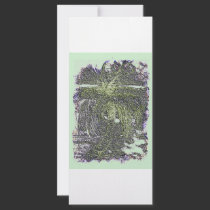 Oasistorm rack cards