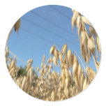 Oats Plant Stickers