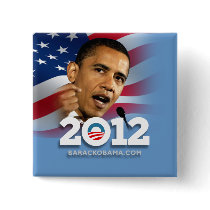 Obama 2012 pins