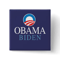 Obama Biden Pin