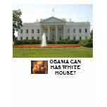 OBAMA CAN HAS WHITE HOUSE? LOL CAT t-shirts