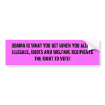 OBAMA IS WHAT YOU GET WHEN YOU ALLOW ILLEGALS, ... bumper stickers