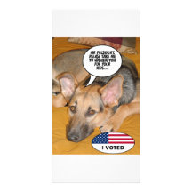 Obama Pet/Whitehouse Humour Custom Photo Card