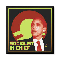 Obama: Socialist in Chief magnets