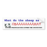 Obama vs the Constitution bumper stickers