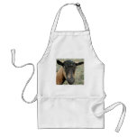 Oberhasli brown goat head shot in color apron