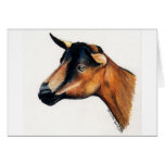 "Oberhasli Goat" Animal Art Greeting Card