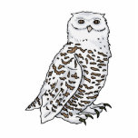 Oberton Owl photo sculptures