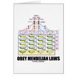 Obey Mendelian Laws (Dihybrid Cross Peas) cards