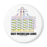 Obey Mendelian Laws (Dihybrid Cross Peas) magnets