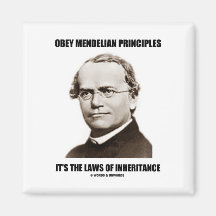 Obey Mendelian Laws Of Inheritance (Gregor Mendel) Refrigerator Magnets