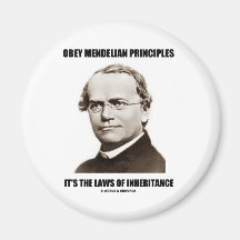 Obey Mendelian Laws Of Inheritance (Gregor Mendel) Refrigerator Magnet