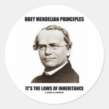 Obey Mendelian Laws Of Inheritance (Gregor Mendel) Round Stickers