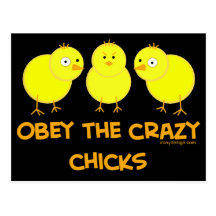 Obey The Crazy Chicks Post Cards