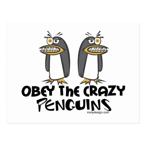 Obey the crazy Penguins! Postcard