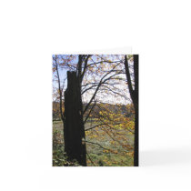Observation and Imagination card