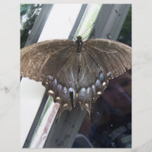 Observing Nature Personalized Flyer