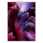 Obsession ArtCard