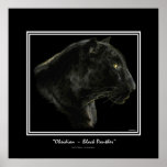 "OBSIDIAN" ~ BLACK PANTHER Art Print