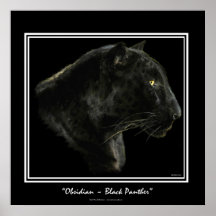 "OBSIDIAN" ~ Black Panther Puma Wildlife Art Print