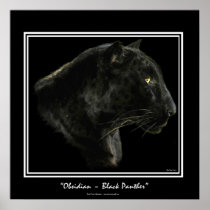 "OBSIDIAN" ~ Black Panther Puma Wildlife Art Print