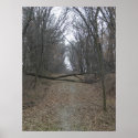 Obstacle in the Road posters
