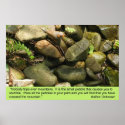Obstacles, print