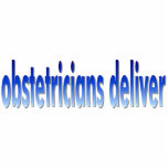 Obstetricians Deliver Pun photo sculptures