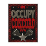 Occupy Concord OWS protest 99 strong poster Post Card