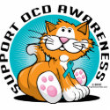 OCD Cat photo sculptures