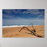 ocean - beach posters