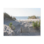 Ocean City Dunes Postcards