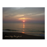 Ocean City Maryland Postcard
