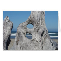 Ocean Coastal Beach Cards Driftwood Sea Waves