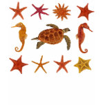 Ocean Creatures Framed Hawksbill Turtle t-shirts