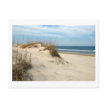 Ocean Dunes postcards