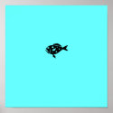 Ocean Glow_Black-on-Aqua Blue Grouper posters