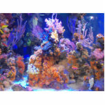 Ocean Pacific Photo Sculpture