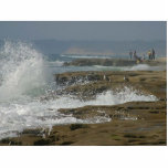Ocean Seagulls Waves Beaches Coast Acrylic Cut Outs