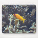 Ocean Splendour HD Mousepad - Tropical Gold Fish