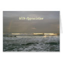 Ocean Surf Appreciation cards