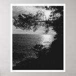 Ocean View posters