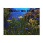 ocean view, UNDER THE SEA! postcards