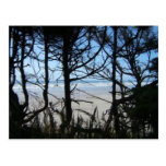Ocean Views Post Cards
