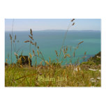 Ocean Vista - Psalm 104 Tract Cards / Business Card