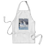 Ocean Water Beaches Aprons